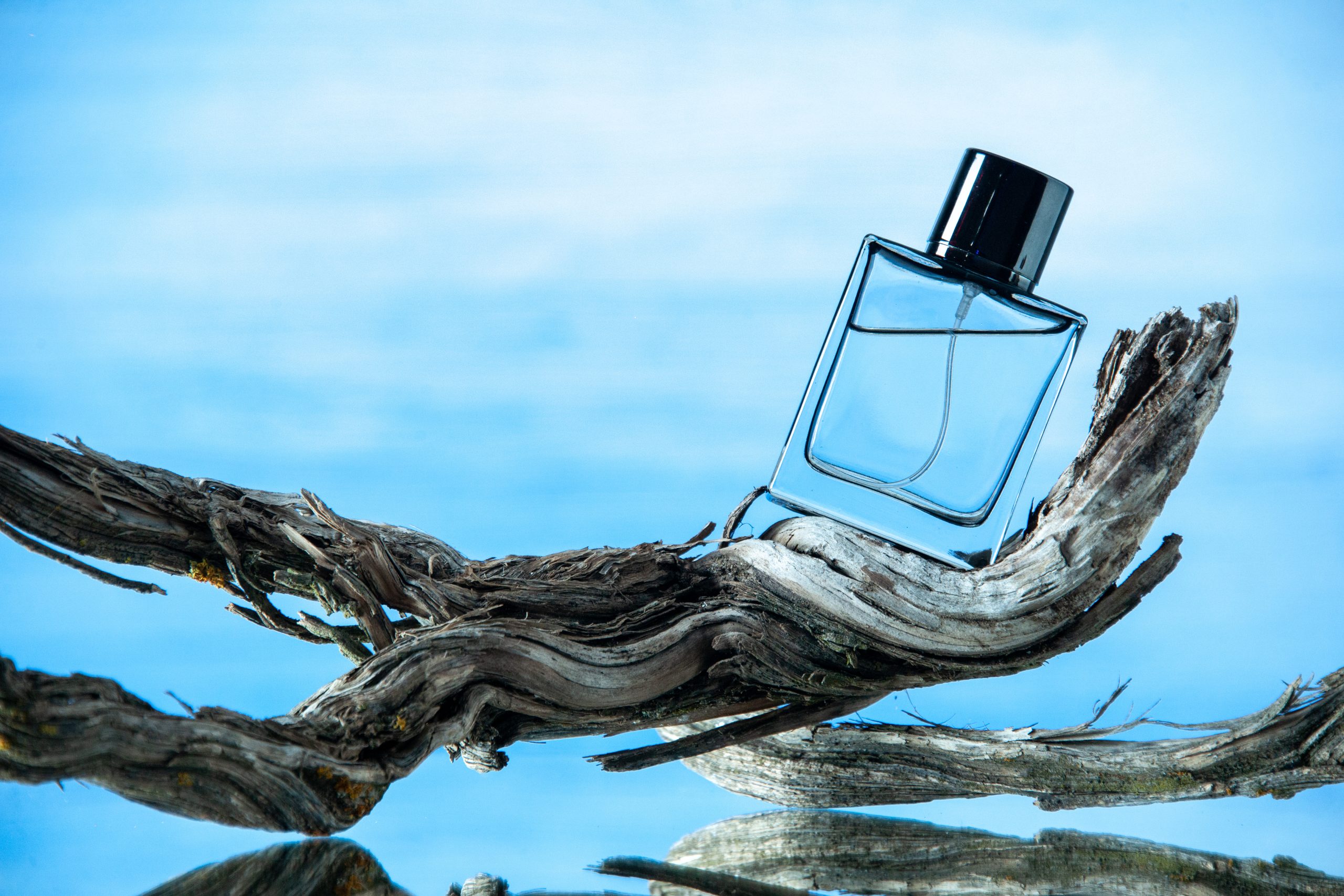 front-view-cologne-bottle-rotten-tree-branch-isolated-light-blue-background