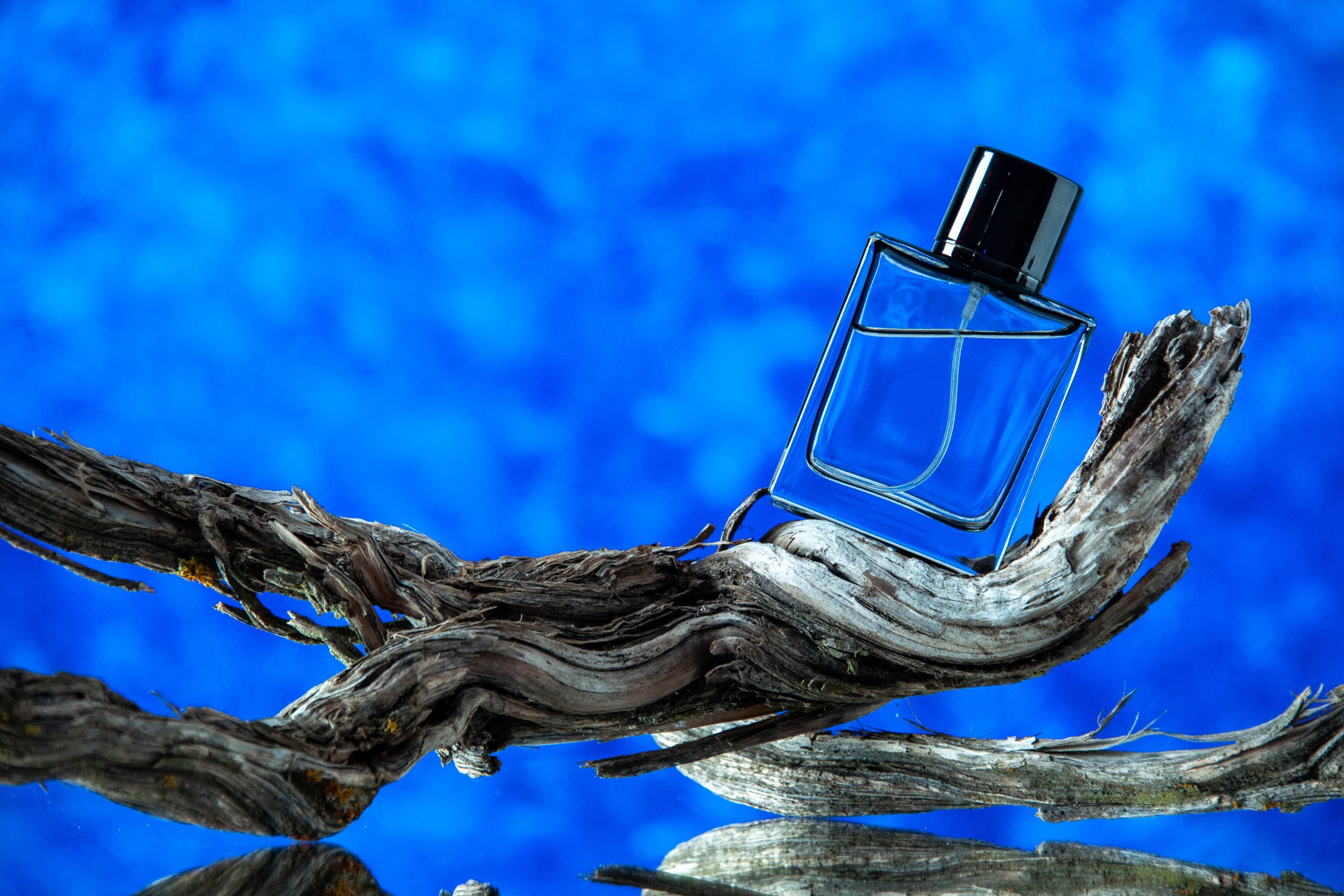 front-view-rectangle-cologne-bottle-rotten-tree-branch-blue